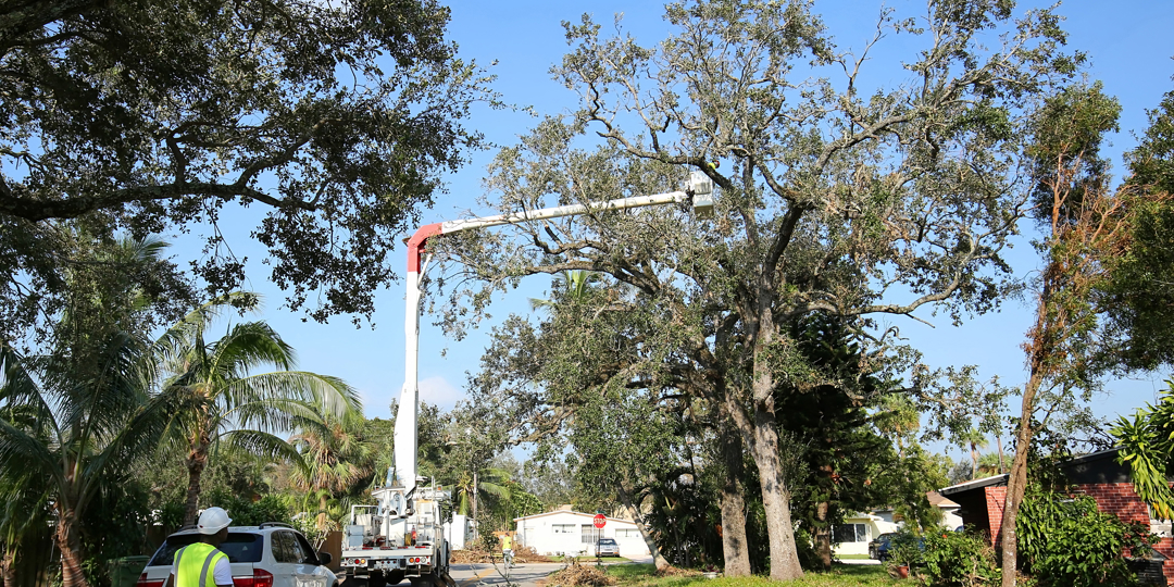 This wide shot captures a full-scale residential tree service operation, likely in a suburban neighborhood similar to those in Northwest Houston. It perfectly illustrates the coordination between heavy equipment and ground crews.