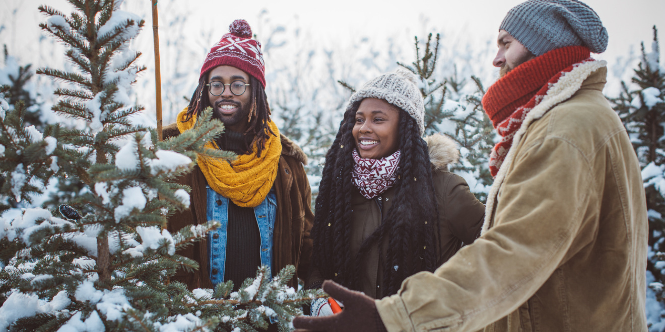 How to Find the Perfect Christmas Tree for Your Home