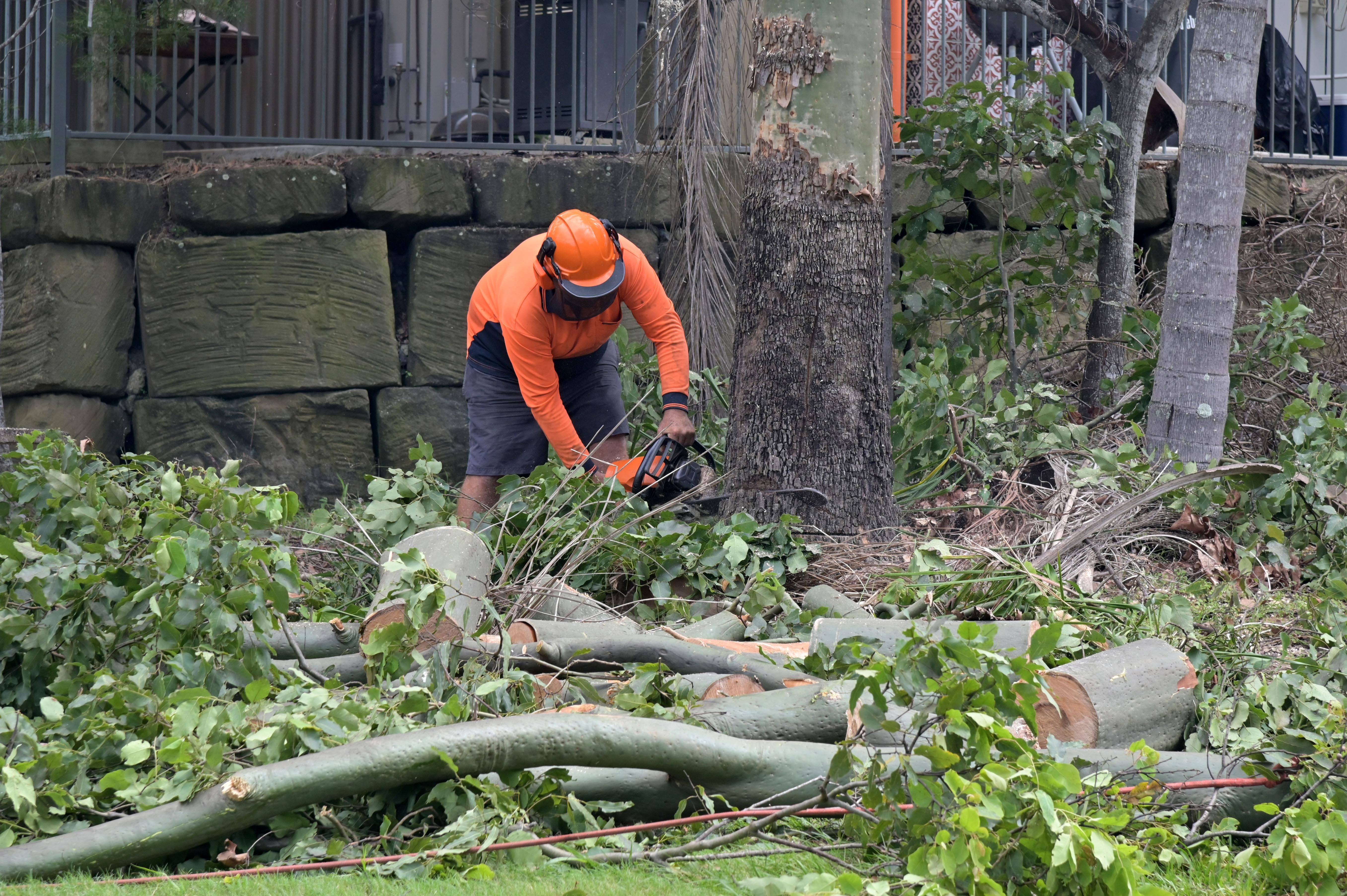 Emergency Tree Services: Fast, Safe Solutions for Storm-Damaged Trees